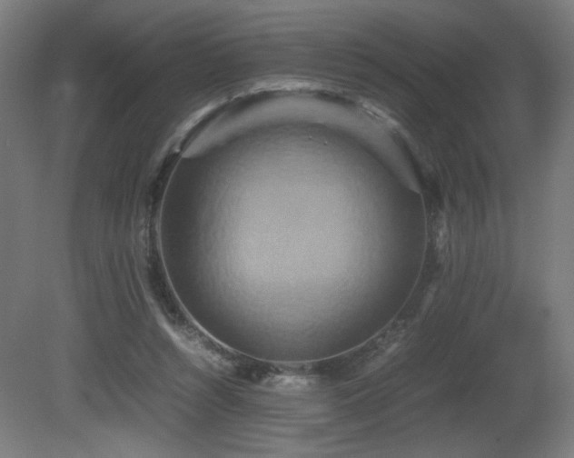 X0000081370352200701111554