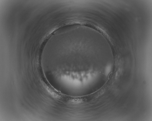 X0000081370353200701111554