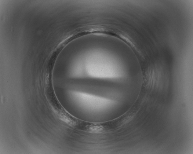 X0000081370355200701111554