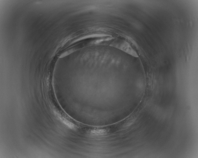 X0000081370357200701111554