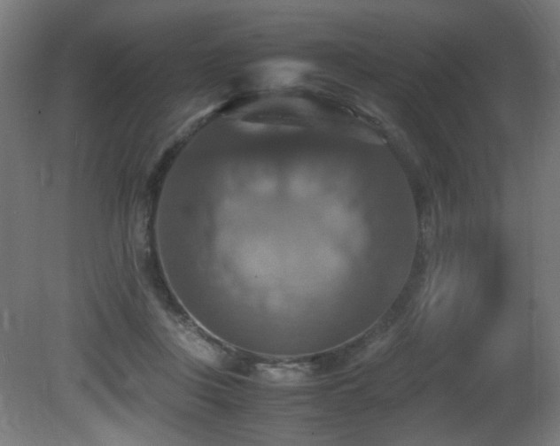 X0000081370359200701111554