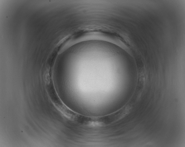 X0000081370360200701111554