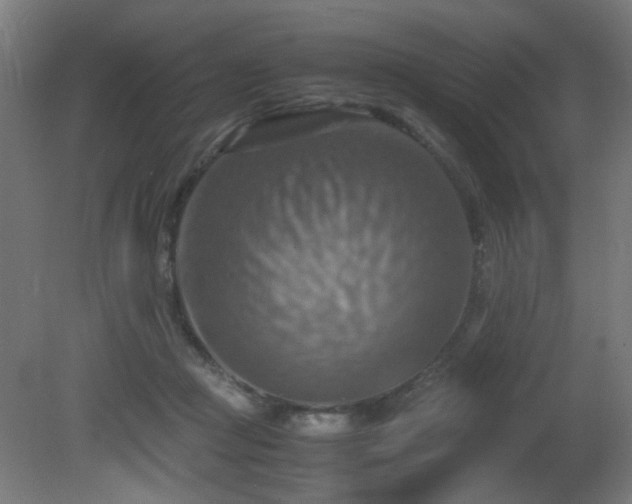 X0000081370361200701111554