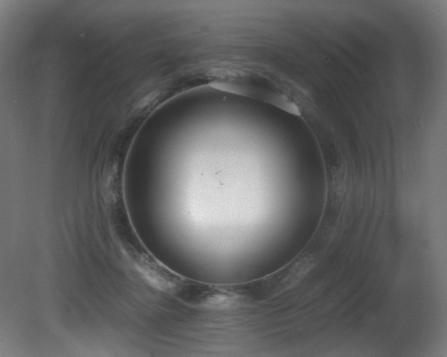 X0000081370364200701111554