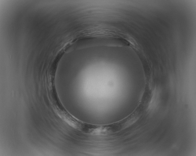 X0000081370366200701111554