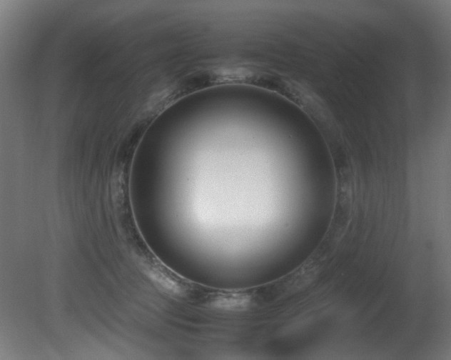 X0000081370369200701111554