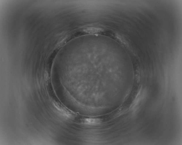 X0000081370371200701111554