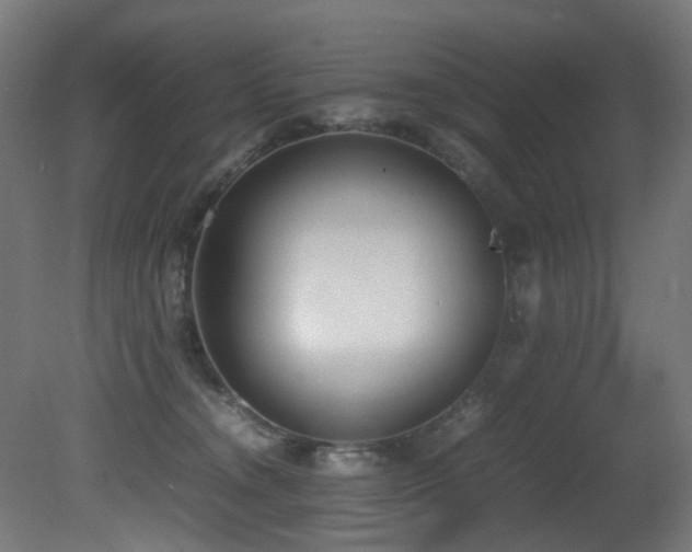 X0000081370372200701111554
