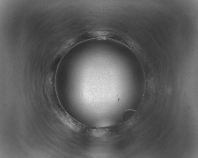 X0000081370373200701111554