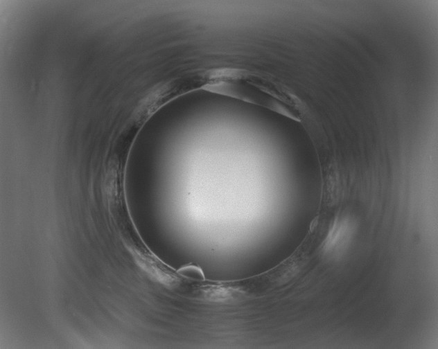 X0000081370379200701111554