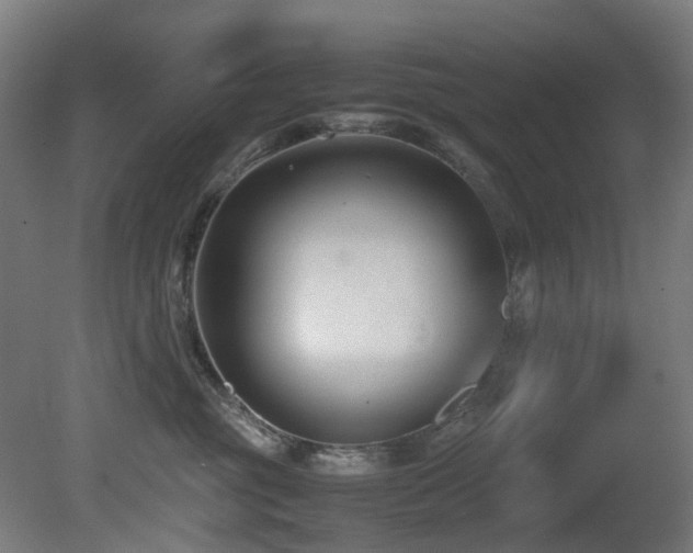 X0000081370381200701111554