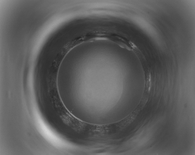 X0000081370383200701111554