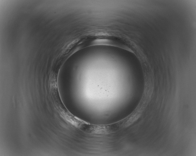 X0000081370384200701111554