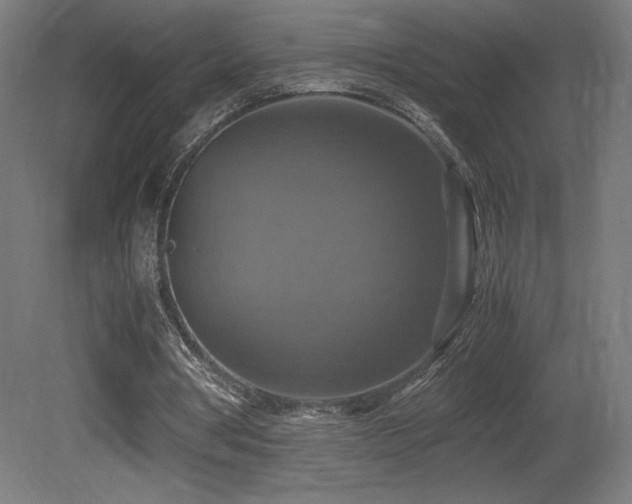 X0000081370386200701111553