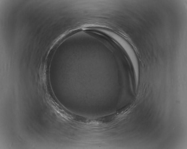 X0000081370387200701111553