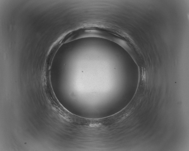 X0000081370388200701111553