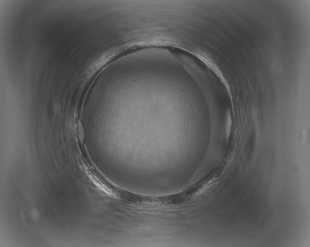 X0000081370389200701111553