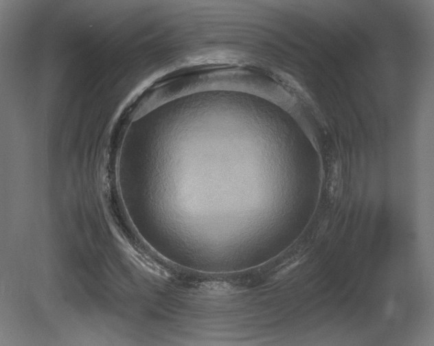 X0000081370392200701111553