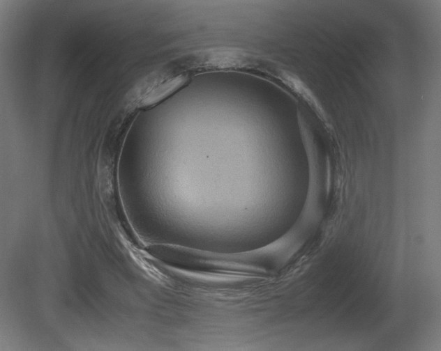 X0000081370393200701111553