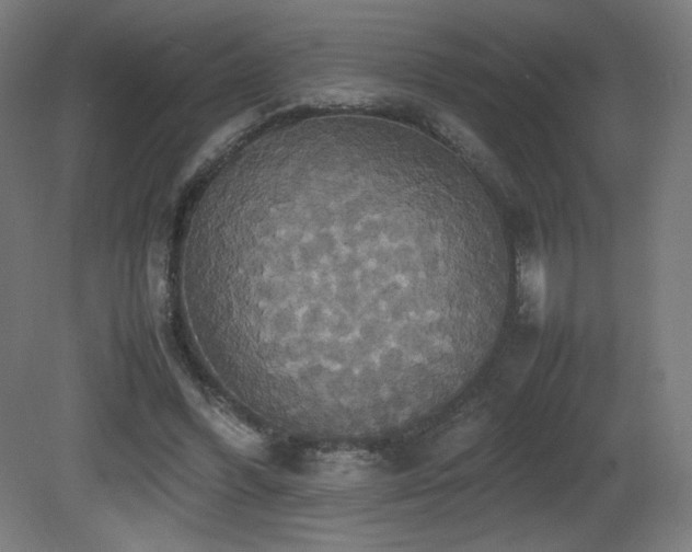 X0000081370396200701111553