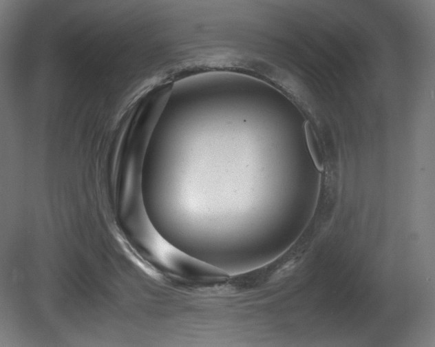 X0000081370397200701111553
