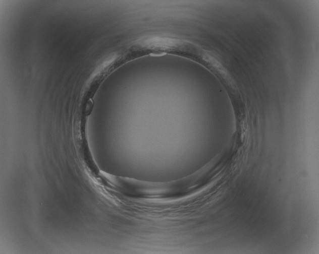 X0000081370399200701111553