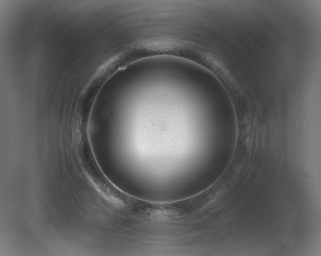 X0000081370400200701111553