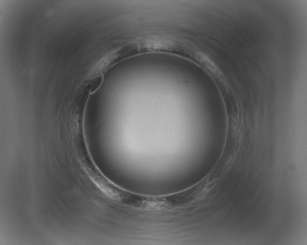 X0000081370401200701111553