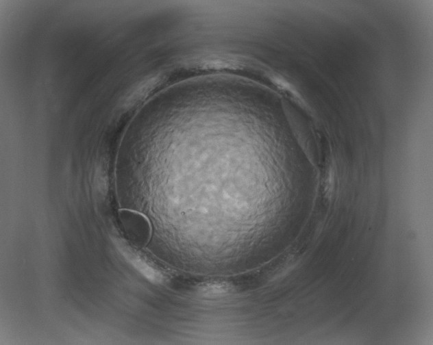 X0000081370402200701111553