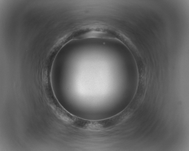 X0000081370403200701111553