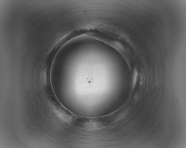X0000081370404200701111553