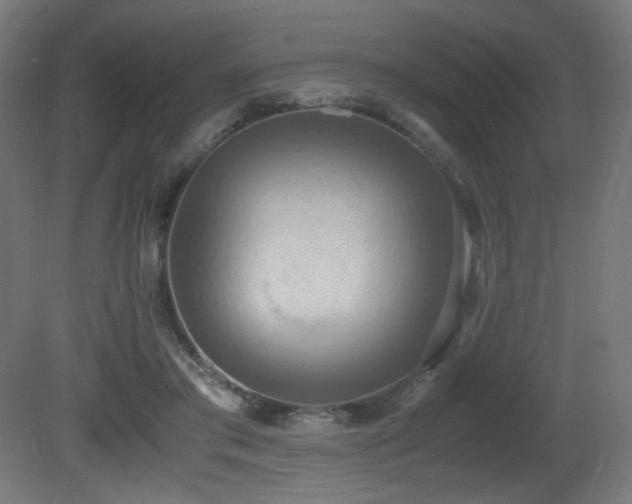 X0000081370405200701111553