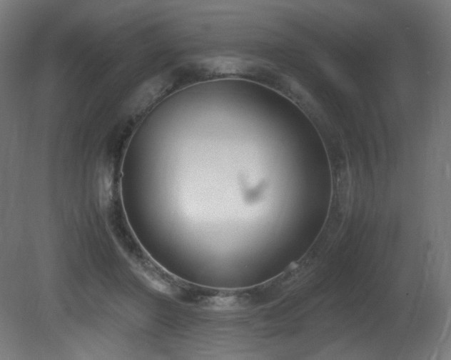 X0000081370406200701111553