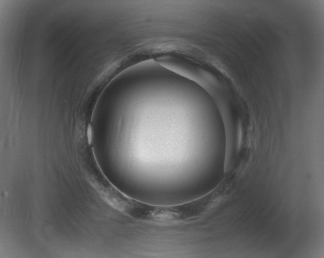 X0000081370407200701111553