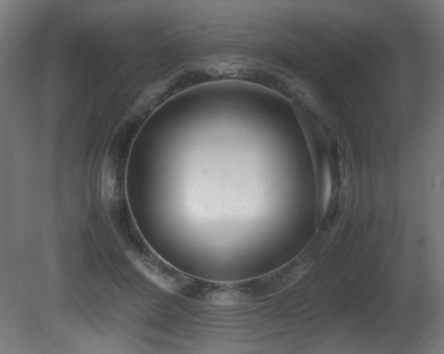 X0000081370408200701111553