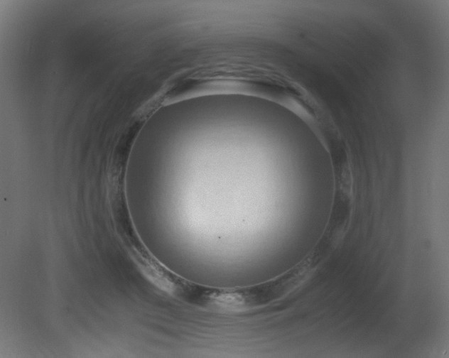 X0000081370409200701111553