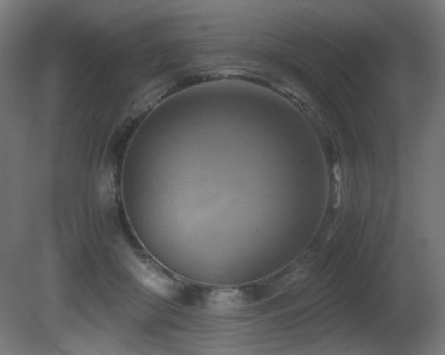 X0000081370410200701111553