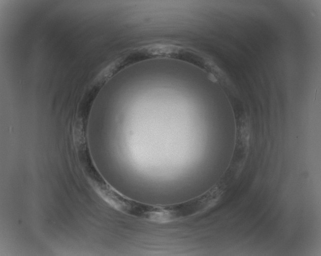 X0000081370411200701111553