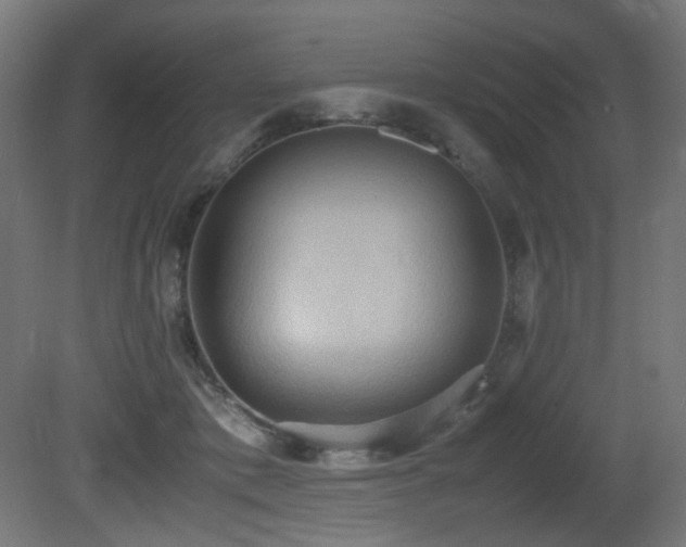 X0000081370413200701111553