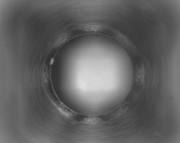 X0000081370414200701111553