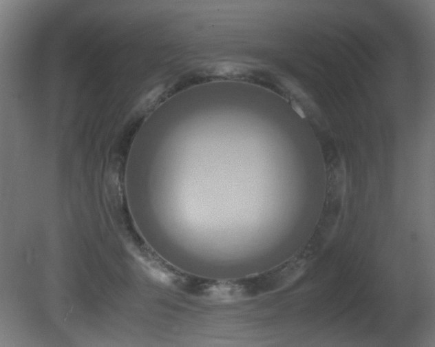 X0000081370415200701111553