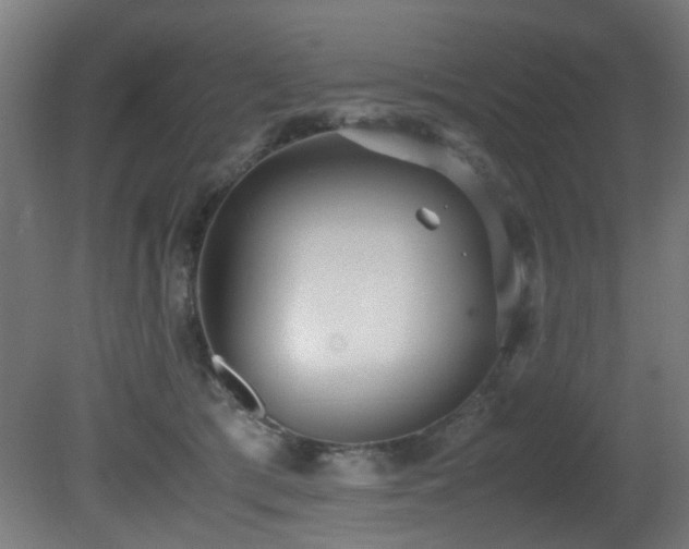 X0000081370417200701111553