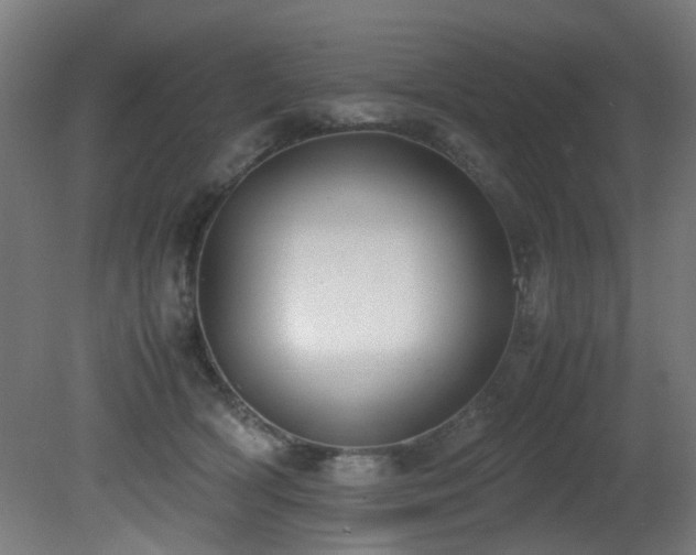 X0000081370418200701111553