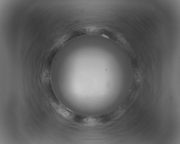 X0000081370419200701111553