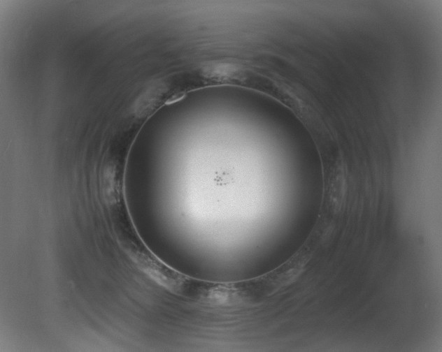 X0000081370420200701111553
