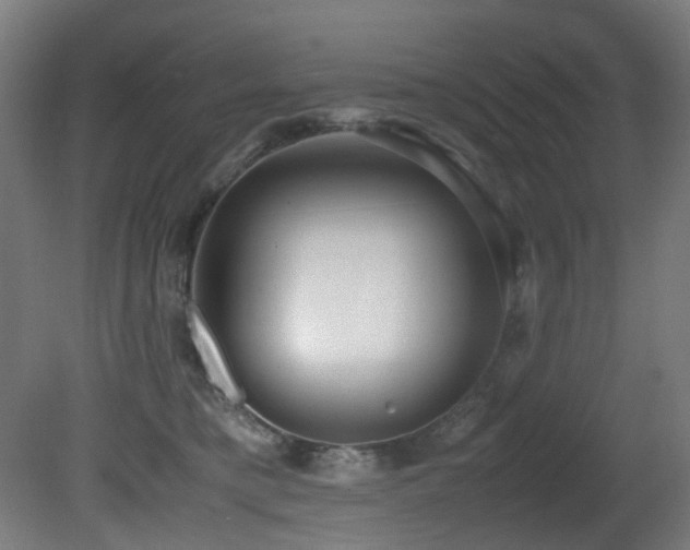 X0000081370421200701111553