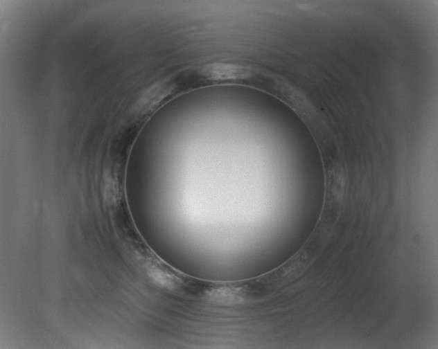 X0000081370422200701111553