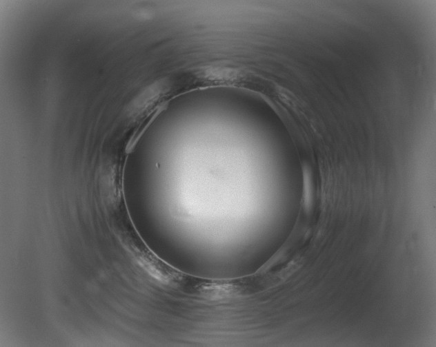 X0000081370428200701111553