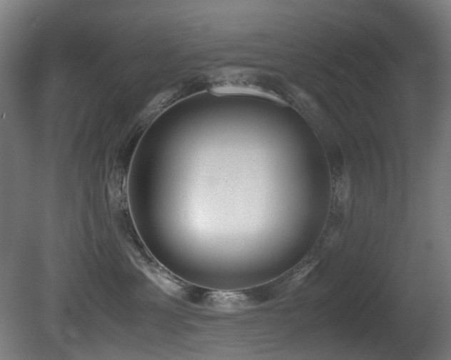 X0000081370429200701111553
