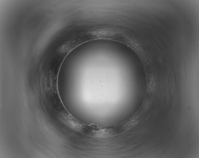 X0000081370430200701111553